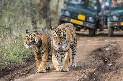 02 Nights Ranthambore with Puratan Quila